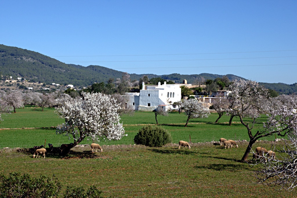 Santa Agnes de Corona property