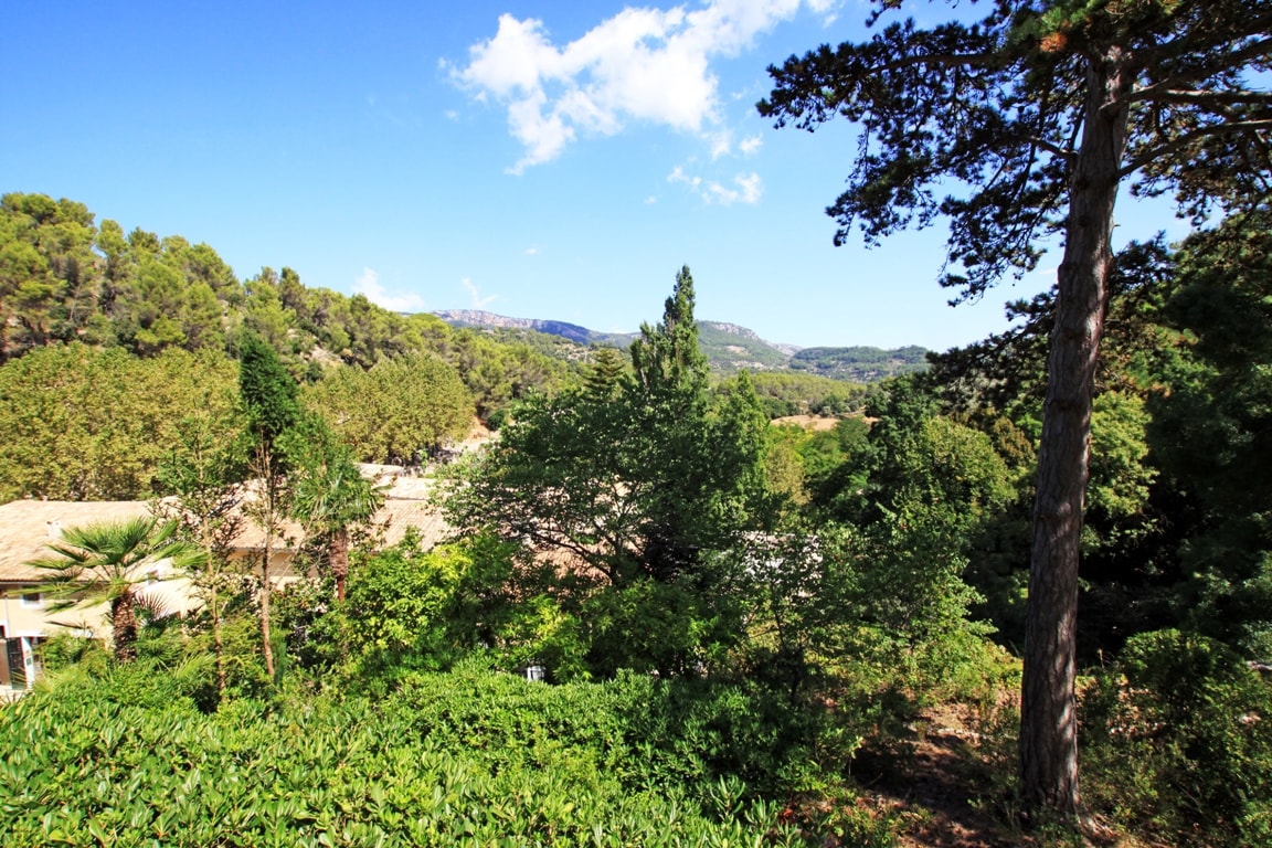 Esporles real estate market is surrounded by unspoilt nature.