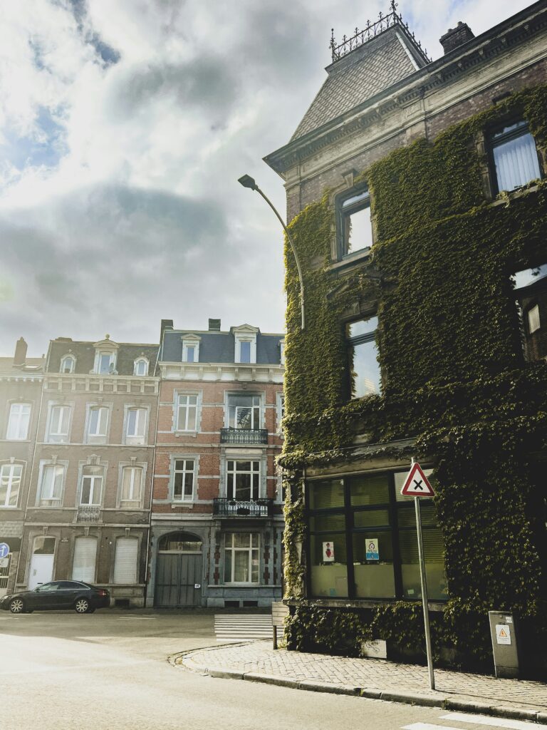 Grâce aux données issues de l'intelligence artificielle, il est possible de déterminer quels sont les meilleurs quartiers pour investir dans l'immobilier à Liège, dans le but de louer à des fins touristiques